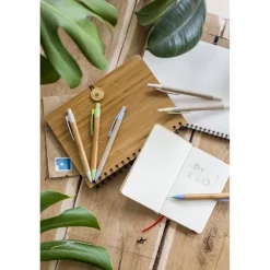 Papierowy długopis | Kayla / Jasnozielony V1948-10