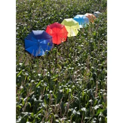 Parasol automatyczny / Burgund V4221-12