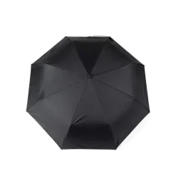 Parasol 21