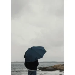 Parasol 23
