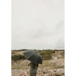 Parasol 23