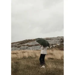 Parasol 21