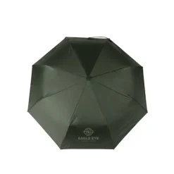 Parasol 21