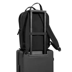 Plecak / Czarny P706.3001