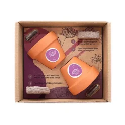 Podwójne roślinne etui / Naturalny TIP32