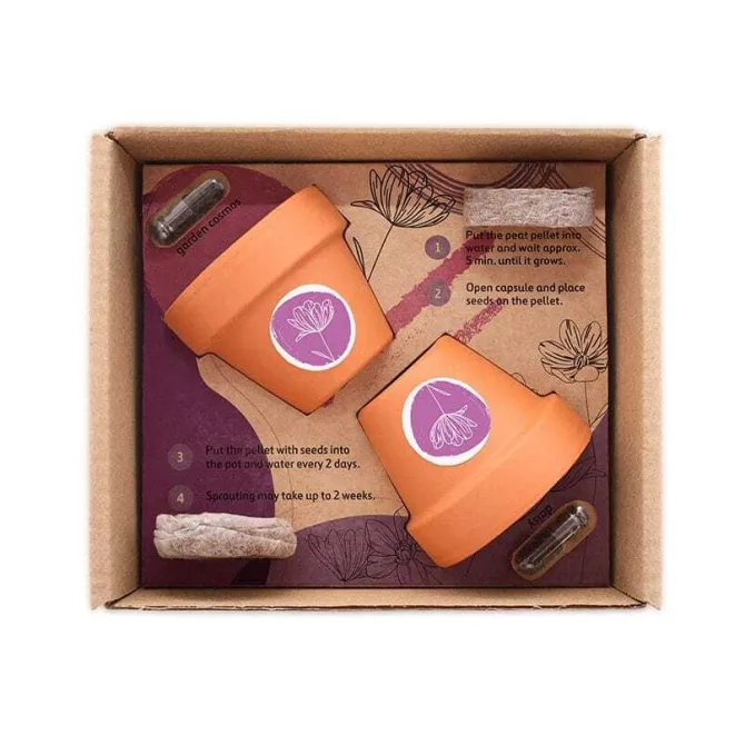 Podwójne roślinne etui / Naturalny TIP32