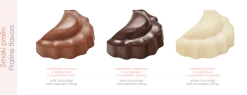 Praliny Smak Tradycji / Wielokolorowy S0065