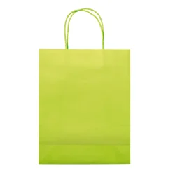 Średnia torba papierowa Eco 120g/m² / Jasnozielony LT91717-N0032