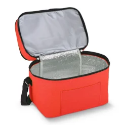 R-PET 600D Dwukomorowa torba chłodząca 30 x 20 x 24 cm 12L / Pomarańczowy LT95393-N0026