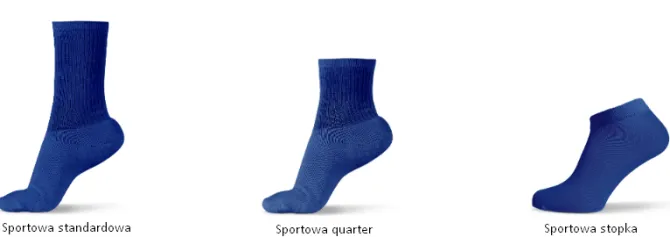 Skarpety sportowe / Wielokolorowy SFsportstandard