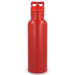 Termos Dario 500 ml / Czerwony LT98890-N0021