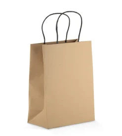 Torba papierowa PAKLO średnia / Brązowy 02222-09