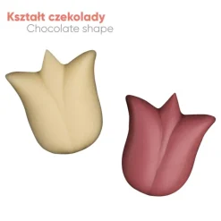 Zestaw Czekoladek Tulipany 4 Sztuki / Wielokolorowy S0304E