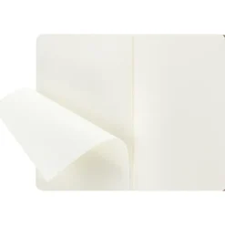 Zeszyt MOLESKINE Cahier Journal ok. A5 / Neutralny VM024-00