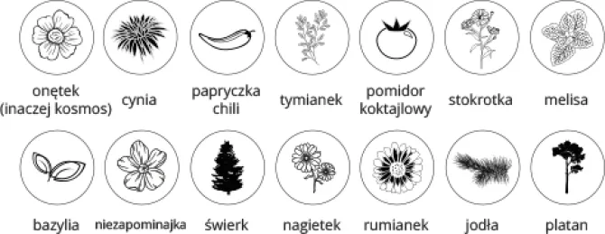 Zielona Fiolka / Naturalny TIP05
